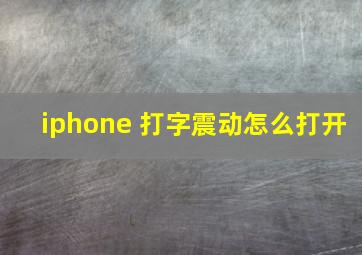 iphone 打字震动怎么打开